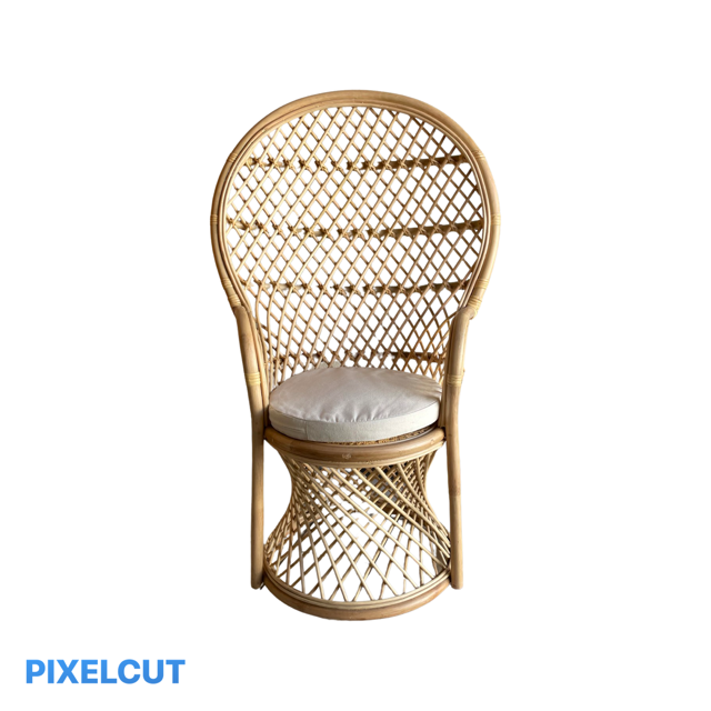 Kids peacock chair