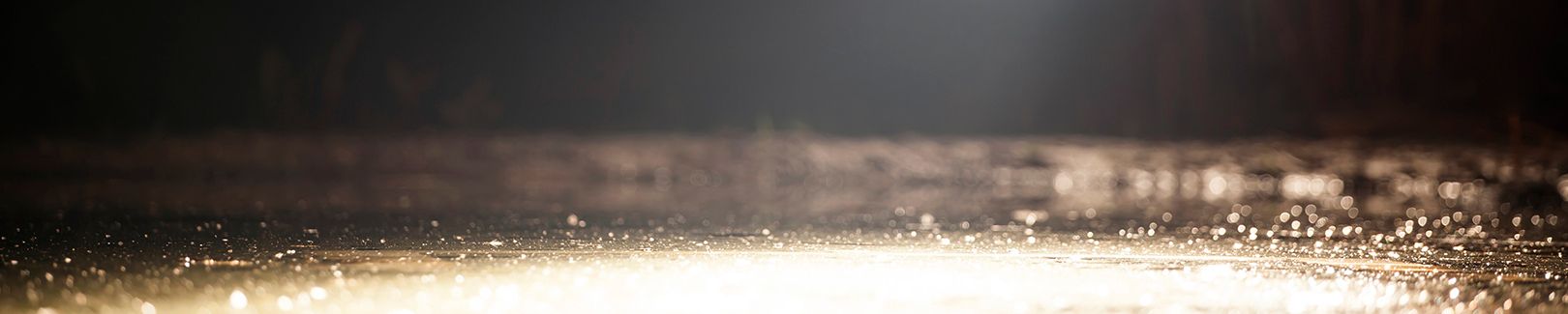 Your Party Solutions